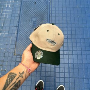 Boné 2025 -210 V2 FLEX ABERTO CHRONIC